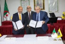 Naftal va importer 6 millions de pneus