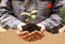 Cinq acteurs économiques engagés dans une opération de reboisement à Adrar