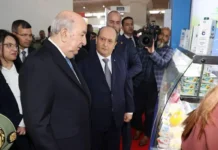 « Des milliers de milliards de dinars » détournés en Algérie : le président Tebboune évoque l’argent « caché aux Îles Vierges » "Des milliers de milliards de dinars" détournés en Algérie : le président Tebboune évoque l'argent "caché aux Îles Vierges"