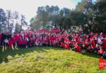 Les employés de Djezzy mobilisés pour l’environnement