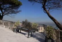 Intempéries : prolongation de la fermeture de tous les espaces forestiers et des parcs publics à Alger