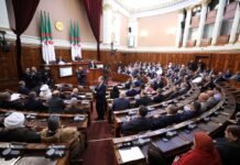 Algérie : le Conseil de la nation adopte le texte modifiant la loi portant code de la nationalité