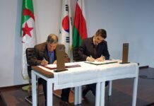 Automobile : Hyundai accélère son implantation en Algérie