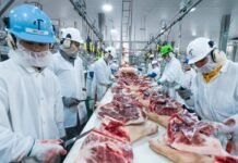 L’AAPI annonce un pôle spécialisé dans les industries agroalimentaires à Aïn Defla