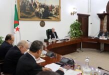 Conseil des ministres : Mesure de régularisation pour certains jeunes Algériens à l’étranger