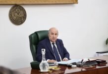 Hadj, mine d’Oued Amizour, ligne minière Est, pêche : les décisions du président Tebboune