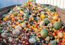 Le gaspillage alimentaire mondial en hausse, une facture attendue à 540 milliards de dollars en 2026