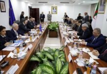 Gaz naturel, hydrogène vert et interconnexions électriques au cœur de la 6e réunion du dialogue énergétique Algérie-UE