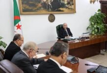 Président Tebboune : « en finir immédiatement avec la bureaucratie dans le secteur de l’agriculture où elle semble profondément enracinée »