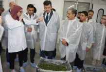 Algérie : Un programme pour réduire progressivement l’importation de semences et de plants Algérie : Un programme pour réduire progressivement l'importation de semences et de plants