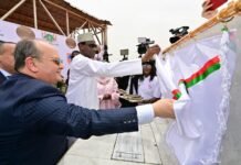 L’Algérie lance le projet d’une centrale électrique de 40 MW au Niger