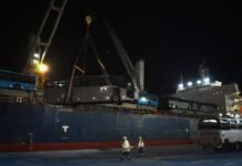 Port de Djen Djen : Réception de 420 nouveaux bus