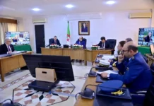 Une réunion interministérielle sur le plan d’action visant à contenir la propagation du criquet dans le Sud-ouest