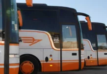 Transport : deux lignes internationales de bus entre l’Algérie et la Tunisie à partir du 12 mars Transport : deux lignes internationales de bus entre l'Algérie et la Tunisie à partir du 12 mars