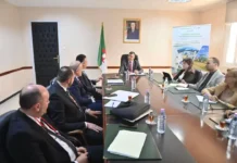 AAPI : Examen du projet de création d’une ville d’investissement et industrielle intégrée dans la wilaya de Médéa