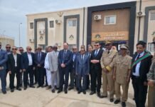 Pêche : 7 navires algériens vont exploiter un quota 31.120 tonnes en Mauritanie