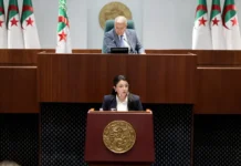 APN : Présentation du projet de loi relatif à l’exercice des activités commerciales