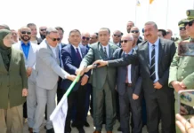 Algérie : Sonelgaz et le chinois CNEEC vont réaliser une centrale électrique de 1406 MW pour 184 milliards de dinars