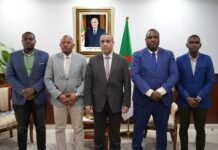 L’Algérie étudie la réalisation d’une centrale électrique de 1.000 MW au Mozambique