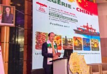 Algérie : les investissements chinois ont atteint 7 milliards de dollars