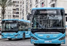 Alger : L’Etusa lance 30 nouvelles lignes à partir de dimanche