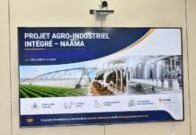 Naâma : Ozmert Algeria présente un projet agro-industriel sur 22 000 hectares