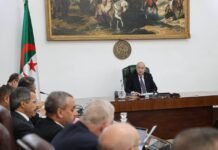 Industrie pétrochimique, importation de moutons, gestion de l’eau : les instructions du président Tebboune