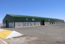 Céréales : Les centres de collecte des récoltes ouverts jusqu’au 30 septembre