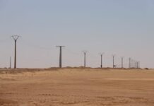 Algérie : 46,6 milliards de dinars pour le raccordement à l’électricité des exploitations agricoles dans le Sud