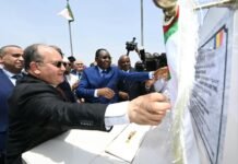 L’Algérie lance la réalisation d’une centrale électrique de 40 MW au Tchad