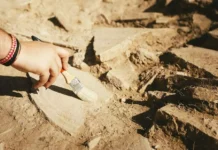 Algérie : nouvelles fouilles archéologiques sur le site préhistorique de « l’Homme de Tighenif » vieux de 1,4 million d’années