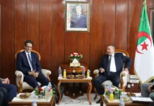 Sayoud reçoit le Directeur général de CMA CGM Algérie
