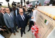 Niger : Inauguration d’une centrale électrique de 40 MW financée par l’Algérie