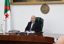 GAFI, services numériques, ferroviaire, communauté scientifique à l’étranger et archéologie : les instructions du président Tebboune