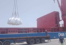 Port de Mostaganem : plus de 13.000 tonnes de produits chargées pour l’exportation en un jour