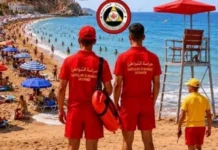 Saison estivale : La Protection civile mobilise 10.000 agents pour la surveillance des plages