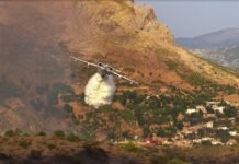 Algérie : Mobilisation de tous les moyens nécessaires pour lutter contre les feux de forêt