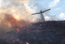 Protection civile : extinction de 913 incendies à travers le pays depuis le 8 juillet