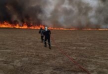 Protection civile : Extinction de 107 incendies sur un total 138 en 24h