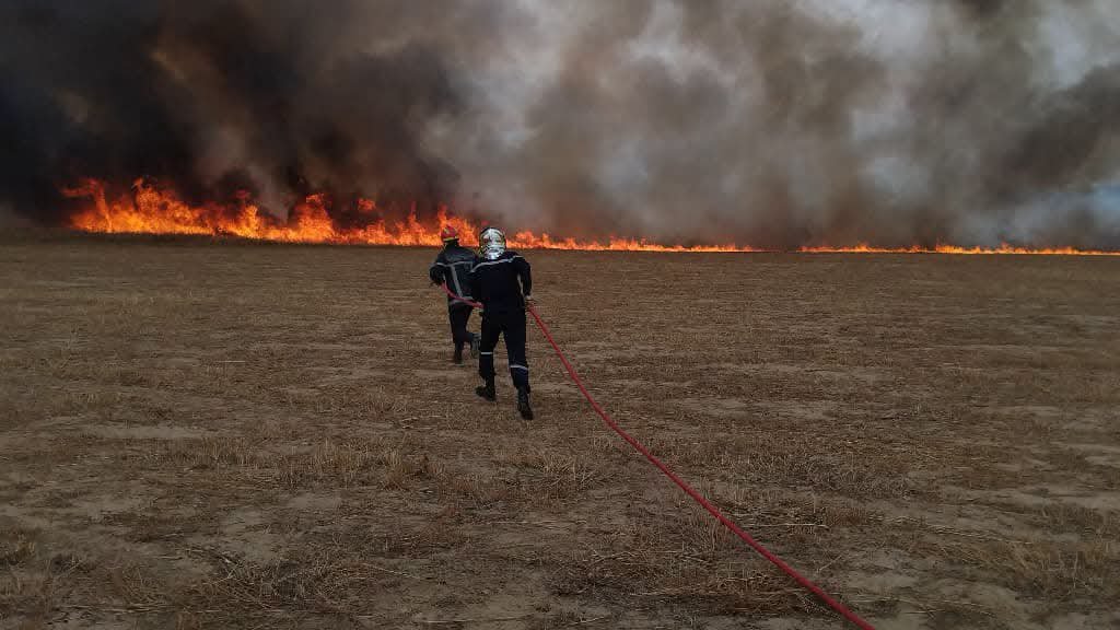 Protection civile : Extinction de 107 incendies sur un total 138 en 24h