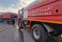 Algérie : la Protection civile annonce l’extinction de tous les incendies au niveau national