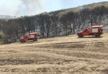 Algérie : Extinction de 72 incendies sur 80 durant les dernières 24 heures