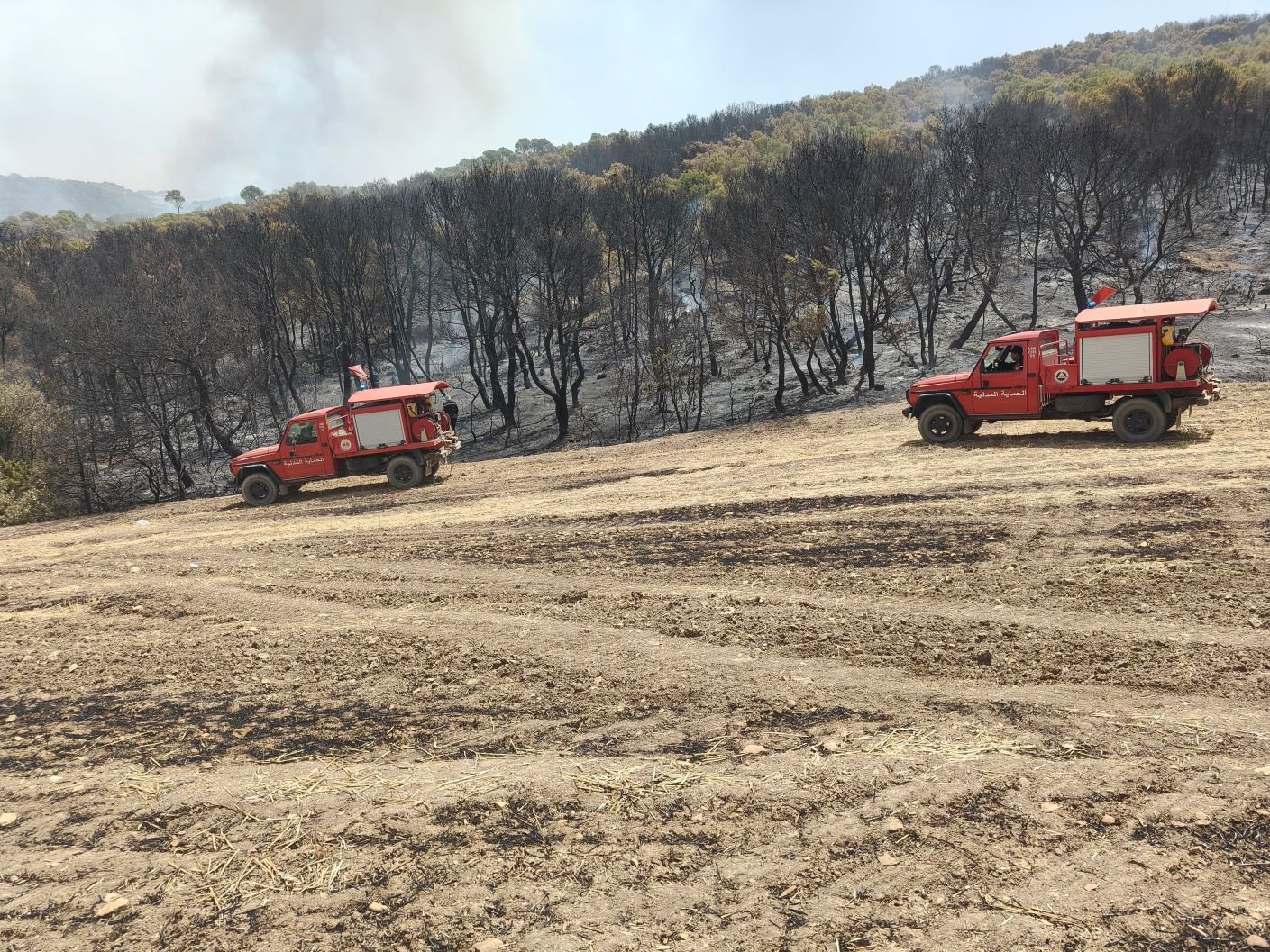 Algérie : Extinction de 72 incendies sur 80 durant les dernières 24 heures