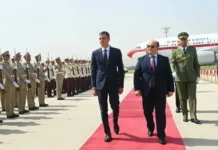 Pedro Sanchez en visite en Algérie