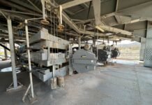 Une unité de production et de valorisation de la célestine entre en service à Béjaïa