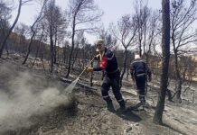 Algérie : Extinction de 91 incendies sur un total de 103 en 24 heures