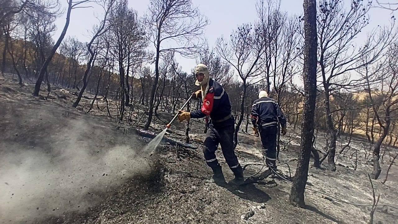 Algérie : Extinction de 91 incendies sur un total de 103 en 24 heures