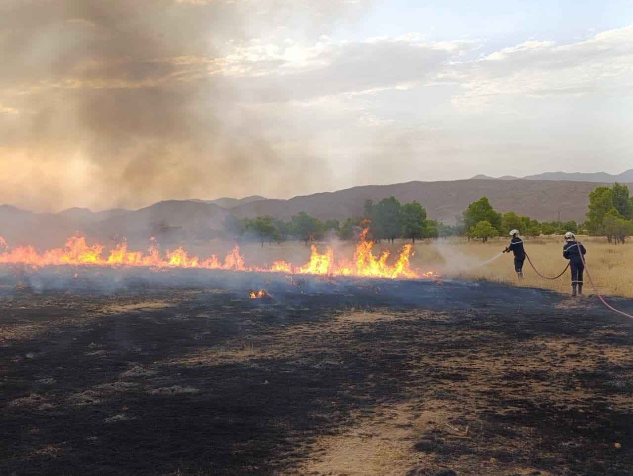 Algérie : Extinction de 138 incendies en 24 heures