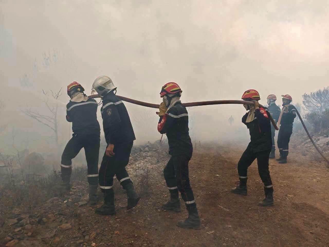 Incendies de forêt en Algérie : 141 feux éteints en 24 heures