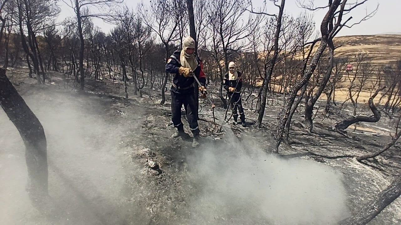 Incendies en Algérie : 97% des feux maitrisés